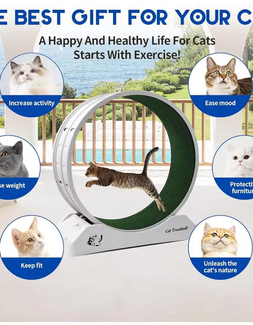 Load image into Gallery viewer, Cat Treadmill Wheel Exerciser for Kitty’S Longer Life Interesting Products Cat Running Wheel with Carpeted Runway Cats Toys Pet
